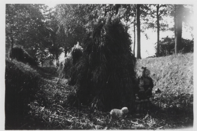 0362-1205 Twee meisjes met strikken in het haar staan met hondje naast hooimijten in brede, droge sloot