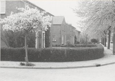 0369-85 Een gedeelte van de Oranjelaan te Dodewaard in 1982