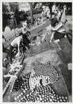M 6754 In het Kalverbos worden de mozaieken voor het fruitcorso gelegd door vrijwilgers langs de gracht
