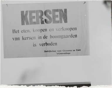 M 9863 Aanplakbord Kersen, verboden in de boomgaarden te eten, verkoopen en koopen