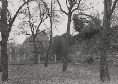 607 Stadsmuur nabij Herenstraat 39. achter het huis van dokter Bongaerts. Op de achtergrond het Elisabeth Weeshuis.