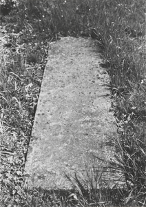 3224 Joodse begraafplaats. Grafstenen