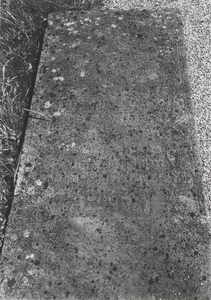 3225 Joodse begraafplaats. Grafstenen