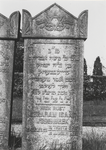 3246 Joodse begraafplaats. Grafstenen