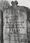 3310 Joodse begraafplaats. Grafstenen
