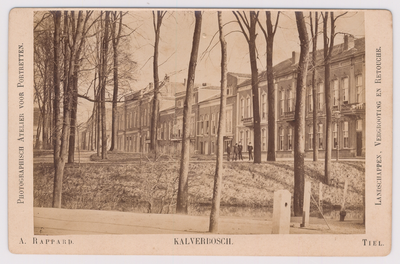 14 Kalverbos met Sint Walburg, vanaf de Veemarkt het Kalverbos met op de achtergrond de huizen van Sint Walburg.