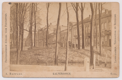 54 Kalverbos met Sint Walburg, vanaf de Veemarkt het Kalverbos met op de achtergrond de huizen van Sint Walburg.