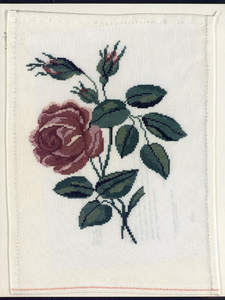 7989 Dit is een op 11 draads linnen geborduurde tak met rozerode roos en knoppen. Geborduurd met 2 draadjes katoenen ...