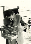 14-460 Op 4 oktober 'dierendag' 1980 werd door burg. H. Pannekoek de opening verricht, door het in de voliere zetten ...
