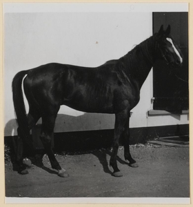 05_021_R_08 Jaarlingen geboren 1954. Kariman