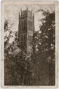 22-10798 Zicht op de Sint Maartenskerk vanaf de stadswallen