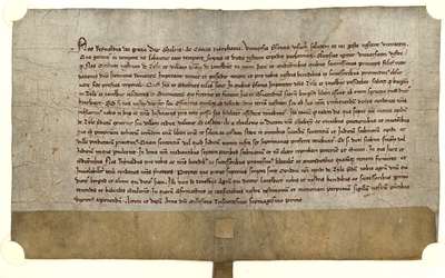 106 Akte, waarbij de rechten van Tiel en Zandwijk worden vermeerderd door hertog Reinald III, 1371