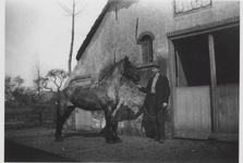 0362-1275 Jongeman toont paard bij deeldeur achterhuis