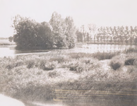 Lie 207 Plas De Nieuwe Waaij met op de achtergrond de molen