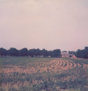 Lie 248 Enige foto's genomen aan het begin van de zomer 1976 van de terreinen aangewezen als bestemmingsplan Het Binnen ...