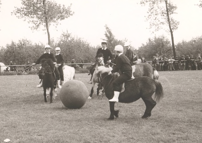 Lie 314 Festiviteiten rondom 1000-jarig bestaan van Lienden. Soort van voetpolo door Ponnieclub ElstPersonen op foto ...