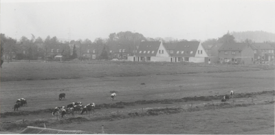 0369-171 Nieuwe woningen aan de Eindakkers in Dodewaard gebouwd in 1987 e.v. jaren