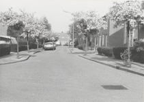 0369-86 Een gedeelte van de Beatrixlaan in Dodewaard (1982)