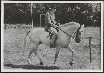 G 9.7 De pony David Gray met ruiter. Dekstation H. M. De Kruyff, Groote Brug langs de Linge, Tiel