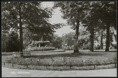 K 4.13 Het Monument M. Tydeman Jr., op console in het plantsoen Kalverbos in Tiel. De boom ter herinnering aan het ...