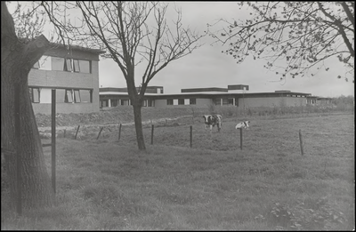 M 9.20 Zijgevel van Verpleeghuis. Met koeien in de aangrenzende wei.