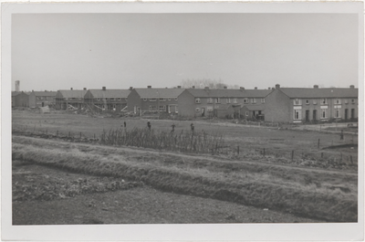 M 10457 Woningbouw bomenbuurt. Op de achtergrond v.l.n.r.: woningen aan Peppellaan, aan Beukstraat, aan Iepstraat, aan ...