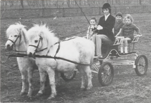 M 11005 Amazone met drie kinderen op een karretje getrokken door twee witte pony's