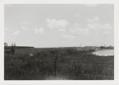 M 11728 Het gebied Blomboogerd begin juni 1962 gefotografeerd in oostelijke richting, ongeveer 100 meter voorbij het ...