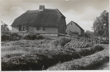M 11931 Een huis op een vluchtheuvel in het Ommerscheveld
