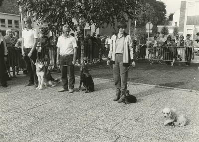 M 1573 Demonstratie van de Tielse hondensportvereniging hsv bij de Agnietenhof