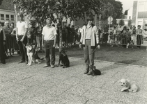 M 1573 Demonstratie van de Tielse hondensportvereniging hsv bij de Agnietenhof