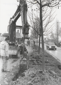 M 2058 Boomverplanting Laan van Westroyen