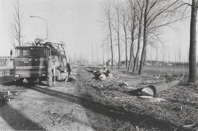 M 3080 Vanwege een boomziekte moeten de bomen aan de Laan van Westroijen gerooid worden. Op de foto hebben medewerkers ...