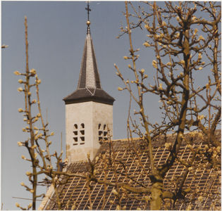 M 3687 Restauratie Ned. Herv. Kerk te kapel-avezaath. Op de foto is de restauratie van het kerkdak aan de ...