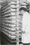 M 7764 Waarschijnlijk in melkfabriek Buren opslag kaas
