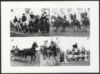 M 9537 Vijf foto's paardensportvereniging de Roskam, beschrijving onder volgnummers M 9537.1 tot en met M 9537.5