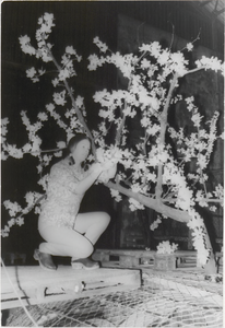 M 9576 Jonge vrouw, staand op pallets, versiert een boom met papieren bloemen