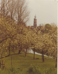 0690-2605 Toren Ned. - Herv. Kerk en bloeiende bomen langs de Korne vanaf Geldermalsen.