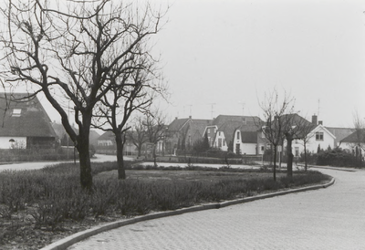 0690-6204 Gezicht op de dorpskern van Erichem.