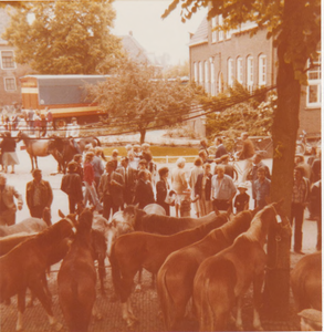 0690-680 Paardenmarkt.