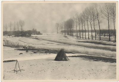 0690-7850 Nogmaals een opname in de omgeving van Buren in het veld tijdens de winterdagen