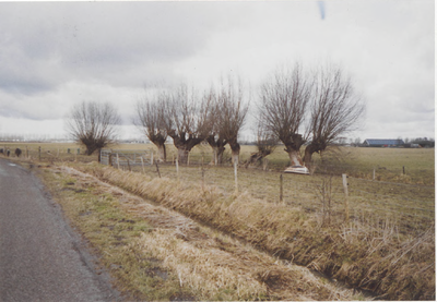 0690-7963 Berm, weiland en knotwilgen die nodig geknot moeten worden rechts van de Aalswijksestraat