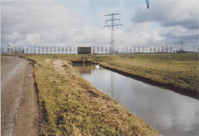 0690-7964 Berm, sloot met zwaan en weiland rechts van de Aalswijksestraat, met op de achtergrond de bomen langs het kanaal