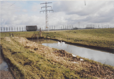 0690-7992 Gezicht op de Aalsdijk vanaf de Aalswijksestraat