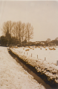 0690-940 Winterlandschap met gezicht op Zoelmond vanaf Beusichem.