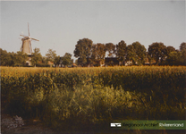0690-Gr_Bu_1005 Gezicht op de Molenwal met de molen De prins van Oranje .