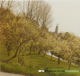 0690-Gr_Bu_1237 Bomen in de bloesem langs de Korne gezien van af de Kornedijk met op de achtergrond de kerktoren.