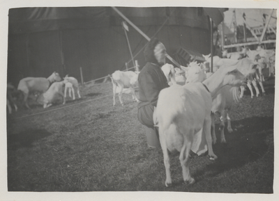 388 Landbouwtentoonstelling. Geitenhoudster met haar geiten.