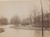 558 Park de 'Plantage' met de in 1898 geplante Wilhelminaboom (in hekje).