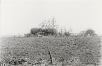 2882 Weithusen. Noordzijde. Eigendom van van Zoelen, vroeger groentenboer. 1970? In 1991 afgebroken